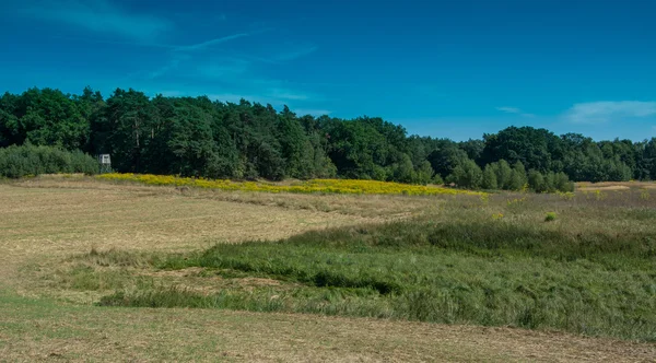 ağaçlar ve çalılar arasında avcılık Kulesi