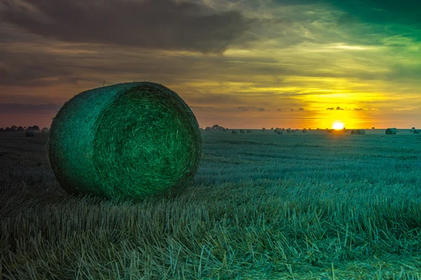 Campos e prados durante o pôr do sol — Fotografia de Stock