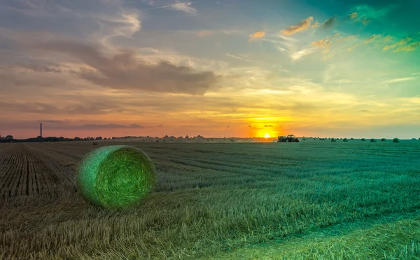 Pole a louky při západu slunce — Stock fotografie