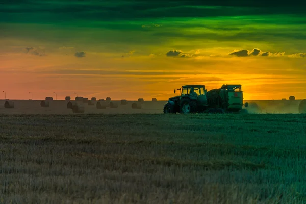 Campos e prados durante o pôr do sol — Fotografia de Stock