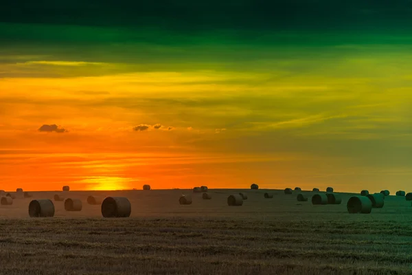 Pole a louky při západu slunce — Stock fotografie