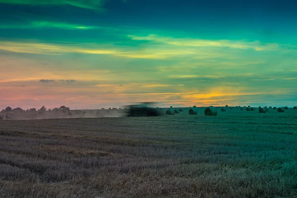 日没時に草原や野原 — ストック写真