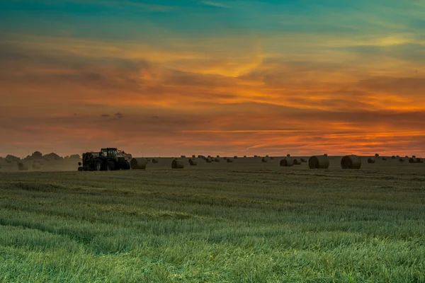 Campos e prados durante o pôr do sol — Fotografia de Stock