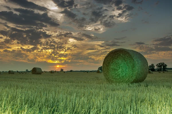 Pole a louky při západu slunce — Stock fotografie