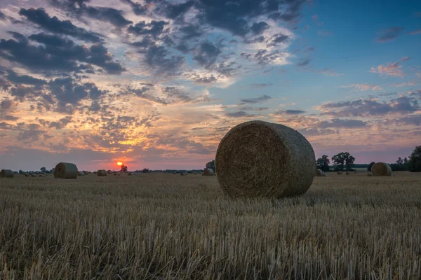 Pole a louky při západu slunce — Stock fotografie