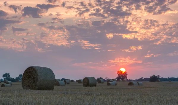 Felder und Wiesen bei Sonnenuntergang — Stockfoto