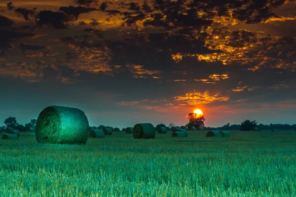 Pola i łąki podczas zachodu słońca — Zdjęcie stockowe