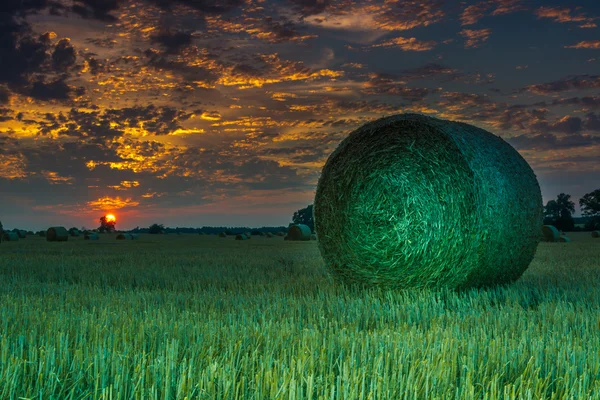 Åkrer og enger ved solnedgang – stockfoto