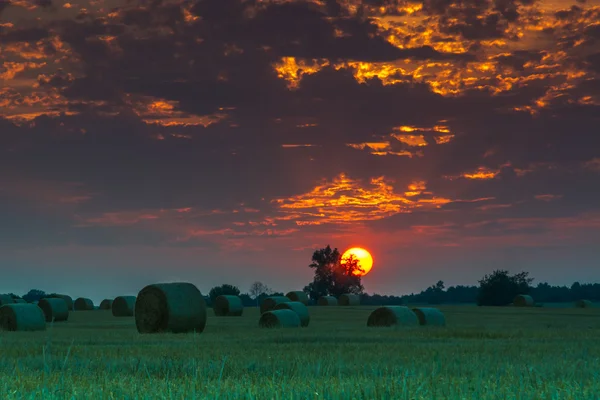 Champs et prairies au coucher du soleil — Photo