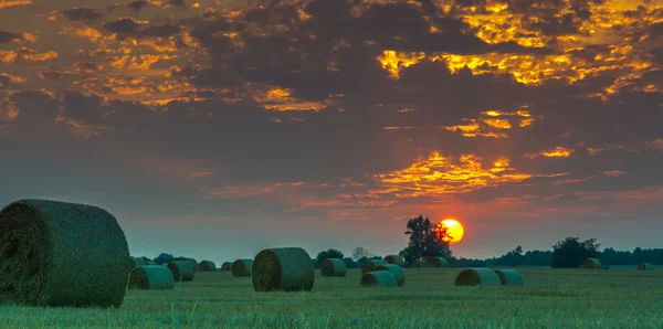 Campos e prados durante o pôr do sol — Fotografia de Stock