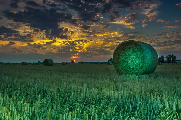 Campos e prados durante o pôr do sol — Fotografia de Stock