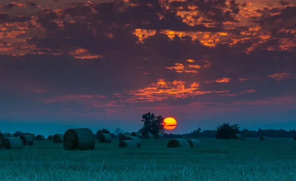 Champs et prairies au coucher du soleil — Photo