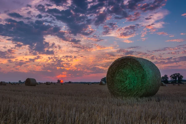 Campos e prados durante o pôr do sol — Fotografia de Stock