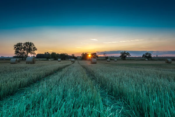 Pole a louky při západu slunce — Stock fotografie