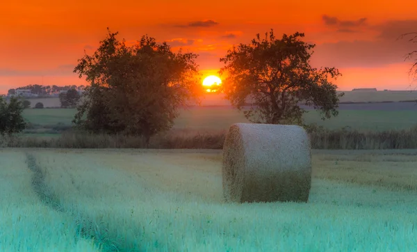 Pole a louky při západu slunce — Stock fotografie