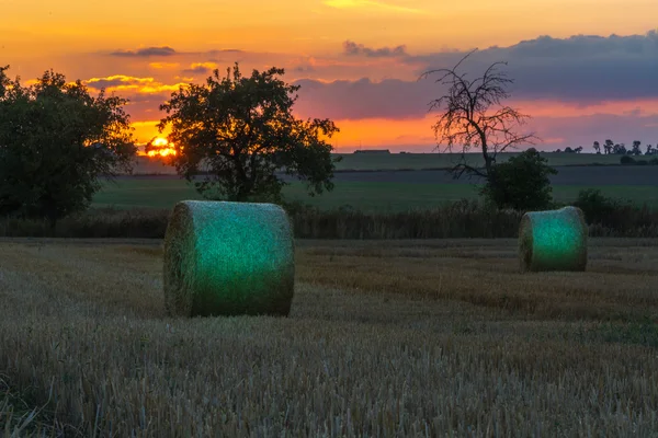 Campos e prados durante o pôr do sol — Fotografia de Stock