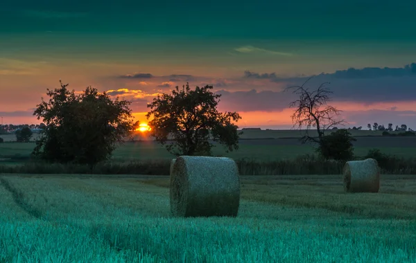 Campos e prados durante o pôr do sol — Fotografia de Stock