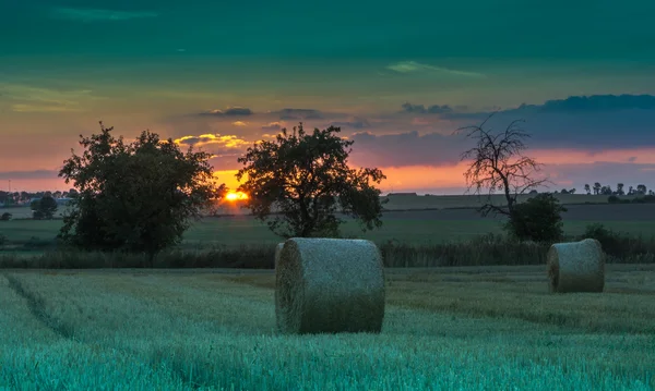 Campos e prados durante o pôr do sol — Fotografia de Stock