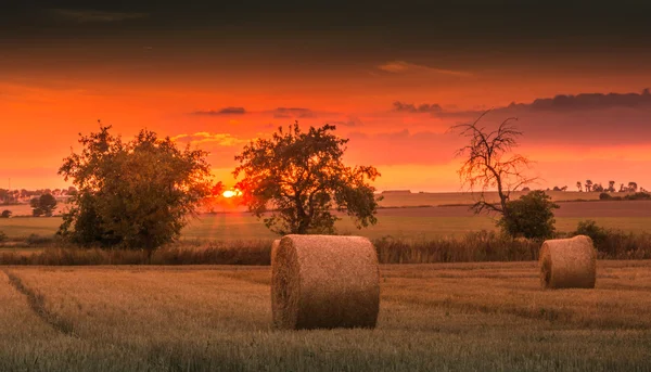 Velden en weiden tijdens zonsondergang — Stockfoto