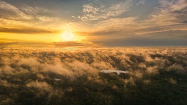 Yüksek irtifada bir hava fotoğrafı ağaçların arasından süzülen altın sabah sisi ile uçsuz bucaksız bir ormanın üzerinde gün doğumunu yakalıyor..