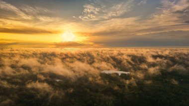 Yüksek irtifada bir hava fotoğrafı ağaçların arasından süzülen altın sabah sisi ile uçsuz bucaksız bir ormanın üzerinde gün doğumunu yakalıyor..