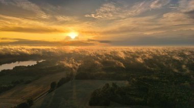 Yüksek irtifada bir hava fotoğrafı ağaçların arasından süzülen altın sabah sisi ile uçsuz bucaksız bir ormanın üzerinde gün doğumunu yakalıyor..