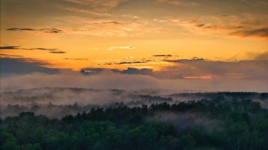 Yüksek irtifada bir hava fotoğrafı ağaçların arasından süzülen altın sabah sisi ile uçsuz bucaksız bir ormanın üzerinde gün doğumunu yakalıyor..