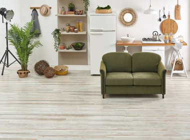 Dekoratif oturma odası ve mutfak arka plan tarzı, yeşil kanepe ve koltuk orta masa, kahverengi kitaplık ve yemek masası tarzı.