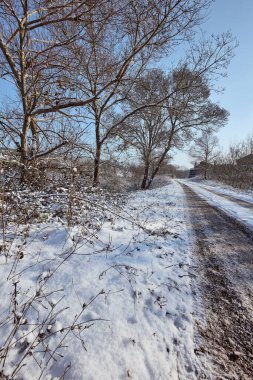 Kar doğası soğuk yol tarzı. Kış mevsimi, açık havada donmuş beyaz zemin.