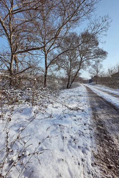 Kar doğası soğuk yol tarzı. Kış mevsimi, açık havada donmuş beyaz zemin.