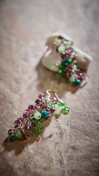 Σκουλαρίκια Γυναικεία Αξεσουάρ Κοσμήματα Σαν Σταφύλι Κρεμασμένος Μια Έννοια Υποκατάστημα — Φωτογραφία Αρχείου