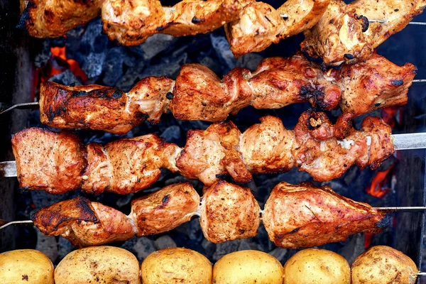 Delizioso pezzo appetitoso di carne fritta sul fuoco a un picnic — Foto Stock