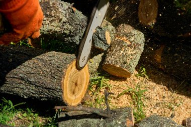 Genellikle uzun, ince tırtıklı çelik bıçakla odun ya da başka malzemeler kesmek için bir el aleti.