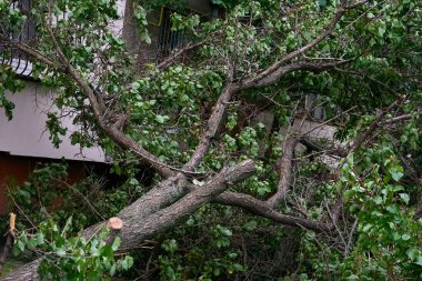 Şiddetli rüzgarlar ve genellikle yağmur, gök gürültüsü, şimşek ya da kar ile atmosferde şiddetli bir bozulma.