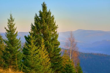 Sonbahar, doğanın her zamanki görünümünü altın rengine çevirdiği tüm mevsimlerden yılın en renkli zamanıdır.