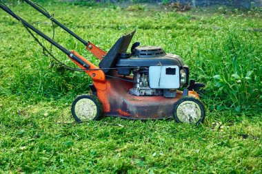 Bir çimenlikteki çimleri biçmek için elektrik ya da benzin makinesi