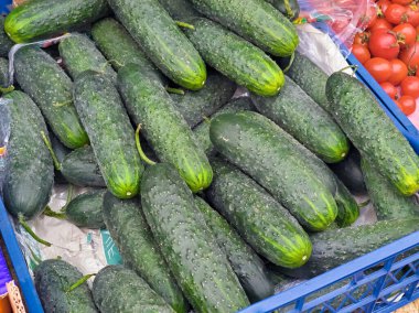 Uzun, yeşil derili, sulu etli bir meyve. Genellikle salatada çiğ yenir ya da salamura edilir.