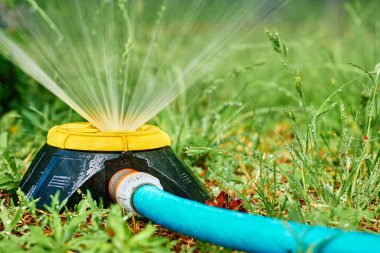 Toprağa su sağlamak ya da büyümeye yardımcı olmak için ekinler, genellikle kanallar yoluyla. Sulama sistemi,