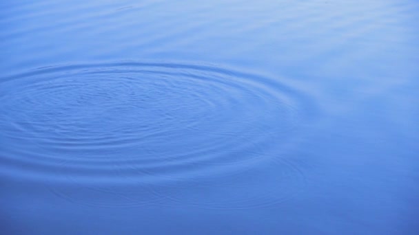 Water ripple for a background. — Stock Video