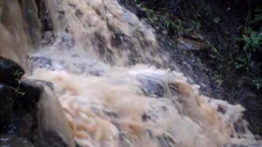 Brown bahçesini şelale.