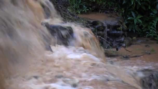 Коричневый водопад падает . — стоковое видео