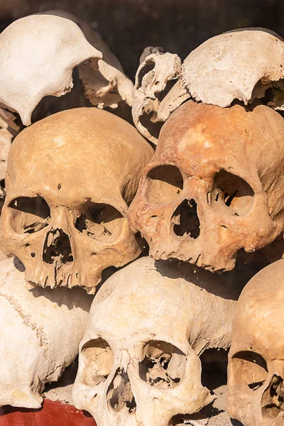 Pile of human skulls.