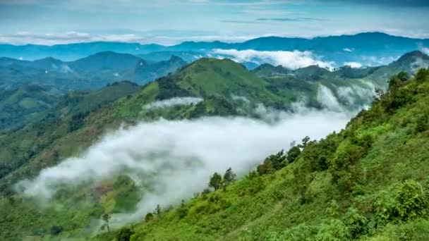 Nuage de mouvement temporel . — Video