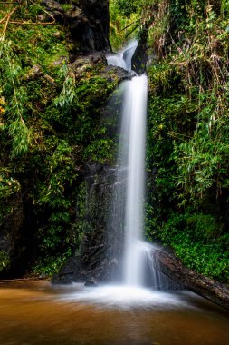 Mon Tha Thhan Şelalesi. Doi Suthep-Pui Ulusal Parkı 'nın en ünlüsü. Chiang Mai, Tayland. Şelale Chiang Mai şehrine yakın.