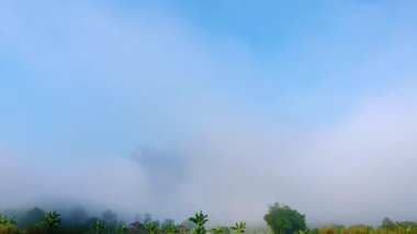Zaman aşımı videosu 4K sabah sisi Doi Luang Chiang Dao 'yu yok olmadan önce saklıyor. Doi Luang Chiang Dao Tayland 'ın Chiang Mai eyaletinde popüler bir yerdir..