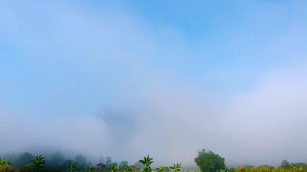 Time Lapse Video Morning Mist Hides Doi Luang Chiang Dao — Stock Video