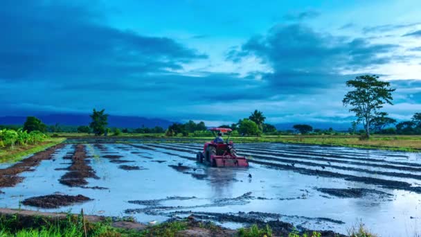 Zeitraffer Video Bauern Pflügen Abends Mit Traktoren Die Felder Ländliche — Stockvideo