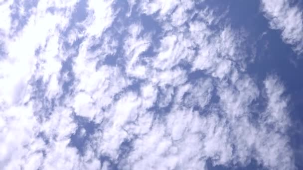 4K时光流逝 蓝天背景下美丽的运动白云 画面浮肿毛茸茸的白云蓝天 — 图库视频影像
