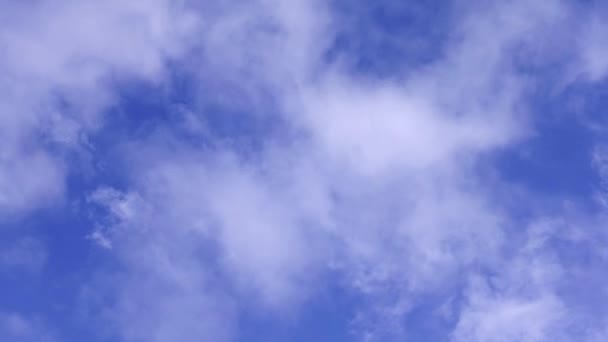 Time Lapse Beaux Mouvements Nuages Blancs Sur Fond Ciel Bleu — Video