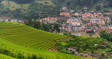 Mu Cang Chai, YenBai, Vietnam 'ın teraslarındaki pirinç tarlaları. Pirinç tarlaları Kuzeybatı Vietnam 'da hasat hazırlıyor. Vietnam manzaraları..
